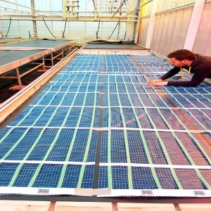 grid-vivai-1